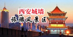 美女被插免费网站中国陕西-西安城墙旅游风景区